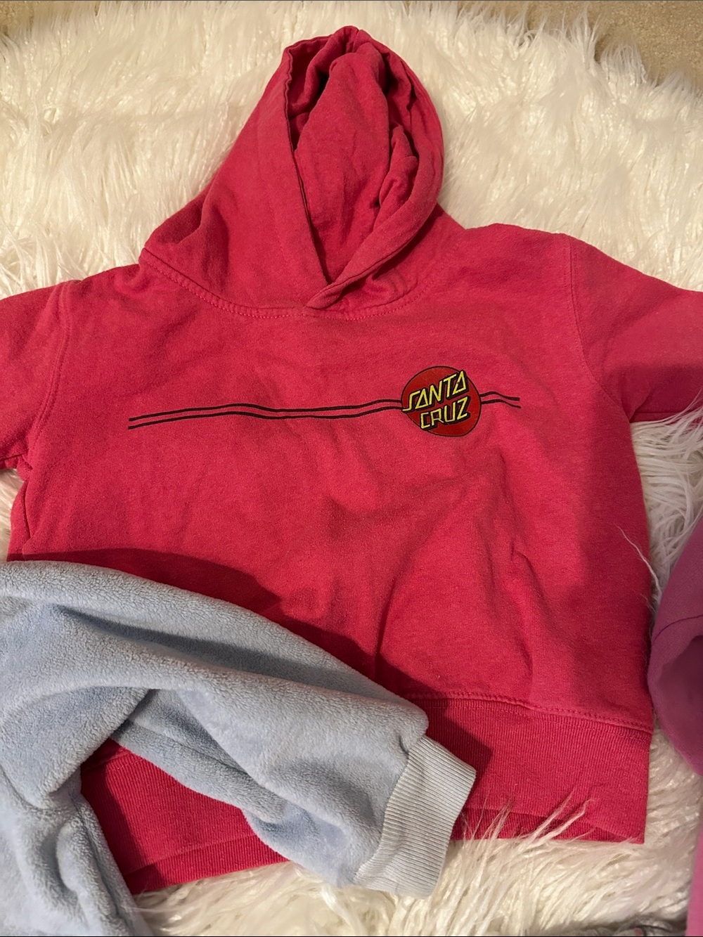 Santa Cruz Skateboards Kids Hot Pink Hoodie with Small Logo
